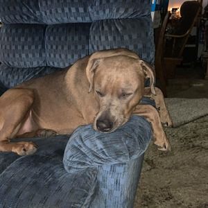 Meet your Posher, Candy